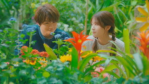 Épisode 11