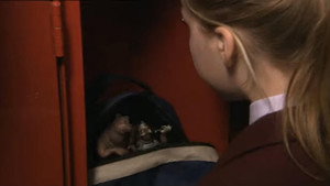 Épisode 2
