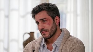 Episode 248