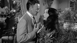 The Winning of Morticia Addams