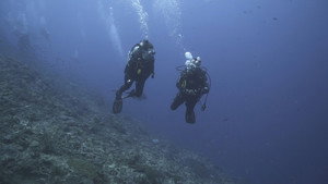 Bali - Pemuteran