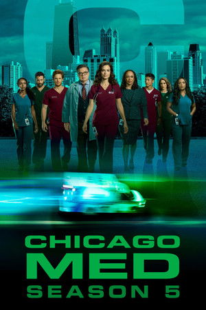 Saison 5