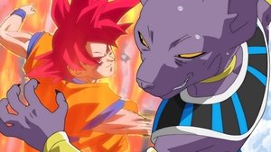 Seigneur Beerus, continuons le Combat des Dieux !