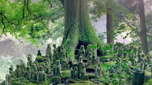 Land of Prayers