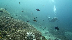 Bali - Canggu-Lembongan