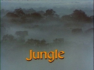 Jungle