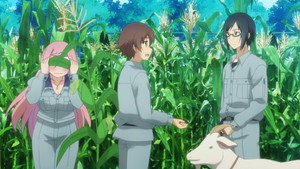 Épisode 8