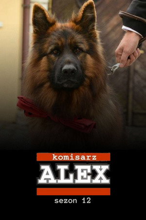 Season 12
