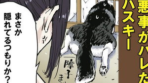 Ye Olde Master and the Monkey (Normal? Ver.) / Ye Olde Master and the Monkey (Shiba Inu Version) / Ye Olde Master and the Husky / Ye Olde Master and the Cat