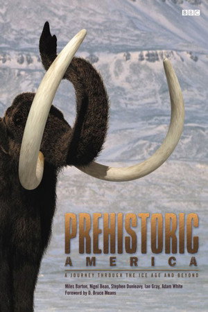 Miniseries