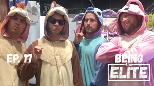Épisode 17