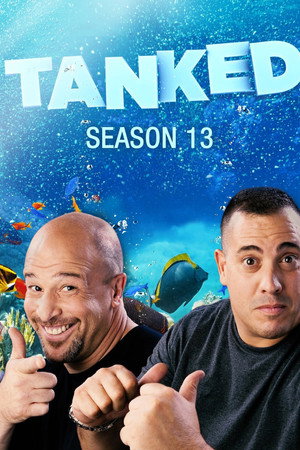 Saison 13