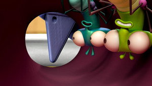 La mouche et l'oiseau