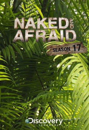 Saison 17
