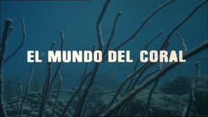 Épisode 15