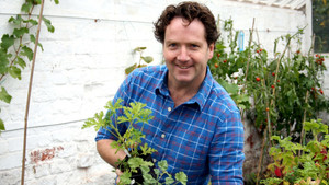 Glasshouses and Shrubs