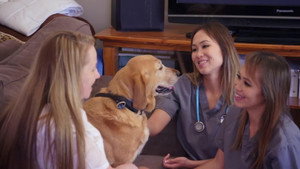 Doggy Blood Bank