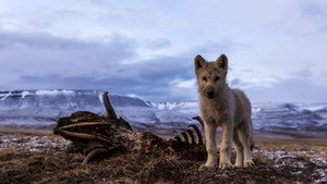 Dernière partie de chasse