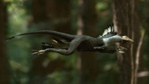 Dino-oiseau