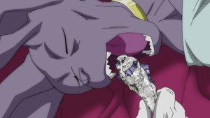 Je suis de retour ! L'entraînement commence sur la planète de Beerus !