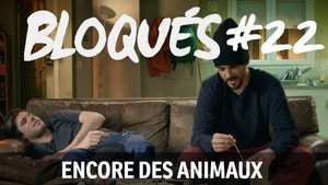 Encore des animaux