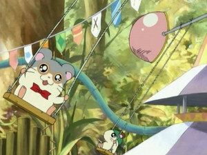 Panda's Ham-Ham Fun Park!