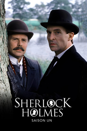 Les aventures de Sherlock Holmes - Partie 1