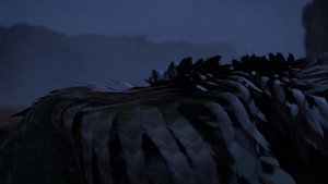 Épisode 166