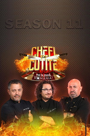 Saison 11