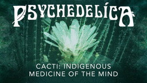 Cactus : Médecine traditionnelle de l'esprit