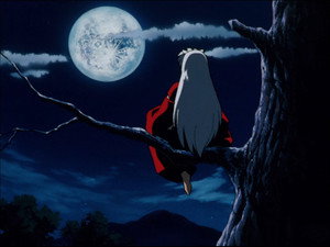 Aristocratic Assassin, Sesshomaru
