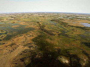 Okavango: Water in the Desert
