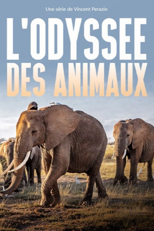Saison 1