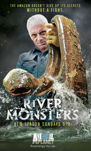 Saison 6
