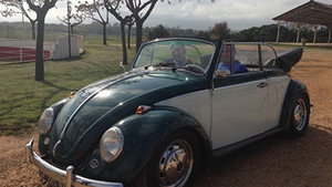Volkswagen - Coccinelle