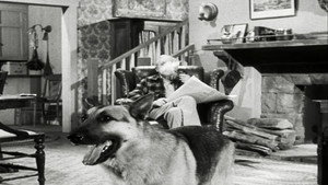 The Case of the Lazy Lover
