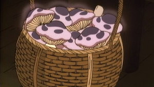 Les champignons lumineux
