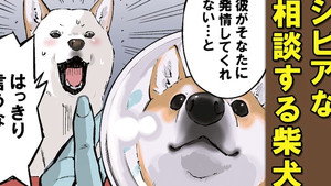 Shiba Distance / Multifunctional Appliance / Love Potion