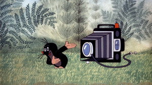 The Mole as Photographer