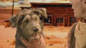 Épisode 8