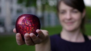 Does Quantum Physics Change Our Reality?