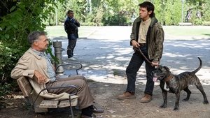 Épisode 7