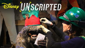 Decking The Docks Before Dawn: Jungle To Jingle Cruise Holiday Makeover