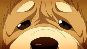 Épisode 12