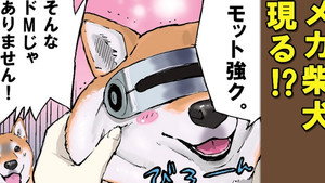 Summer Vacation / Dog in the Soft Shell / Apartment Dwellers
