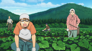 Hachiken Makes a Huge Mistake