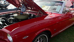 Mustang