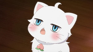 Épisode 6