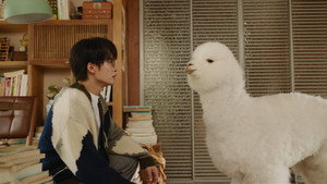 Épisode 8