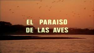 Épisode 14